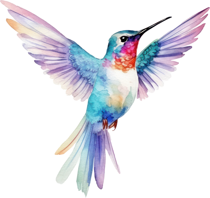 Bird hummingbird Watercolor Illustration
