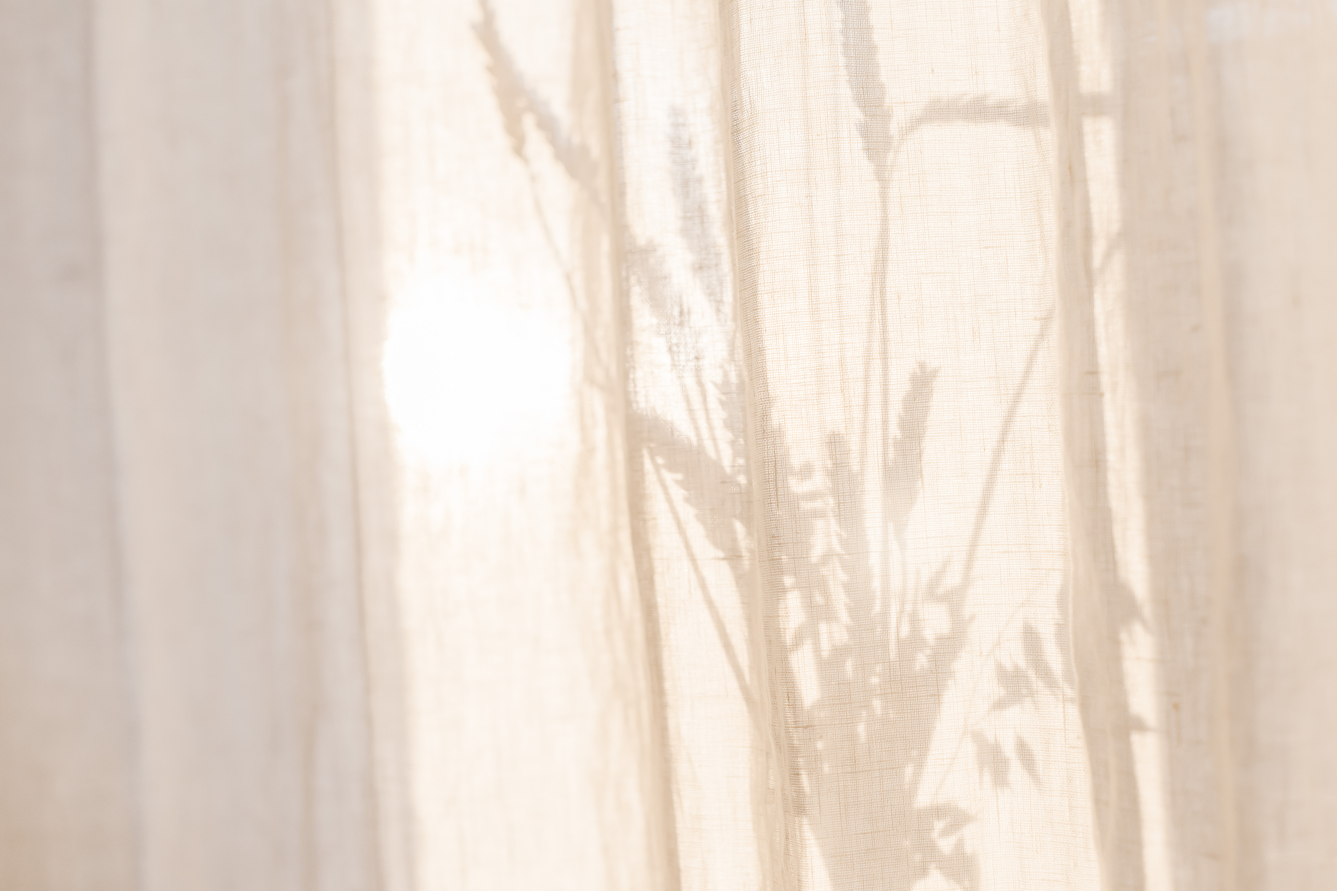 Shadows of Flowers on Curtain