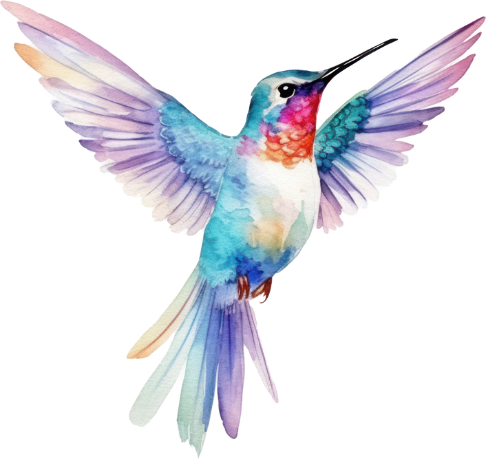 Bird hummingbird Watercolor Illustration