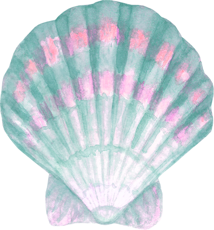 Watercolor Seashell Element