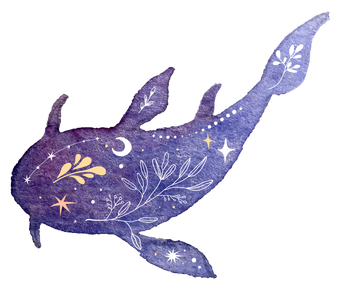 Celestial Watercolor Catfish