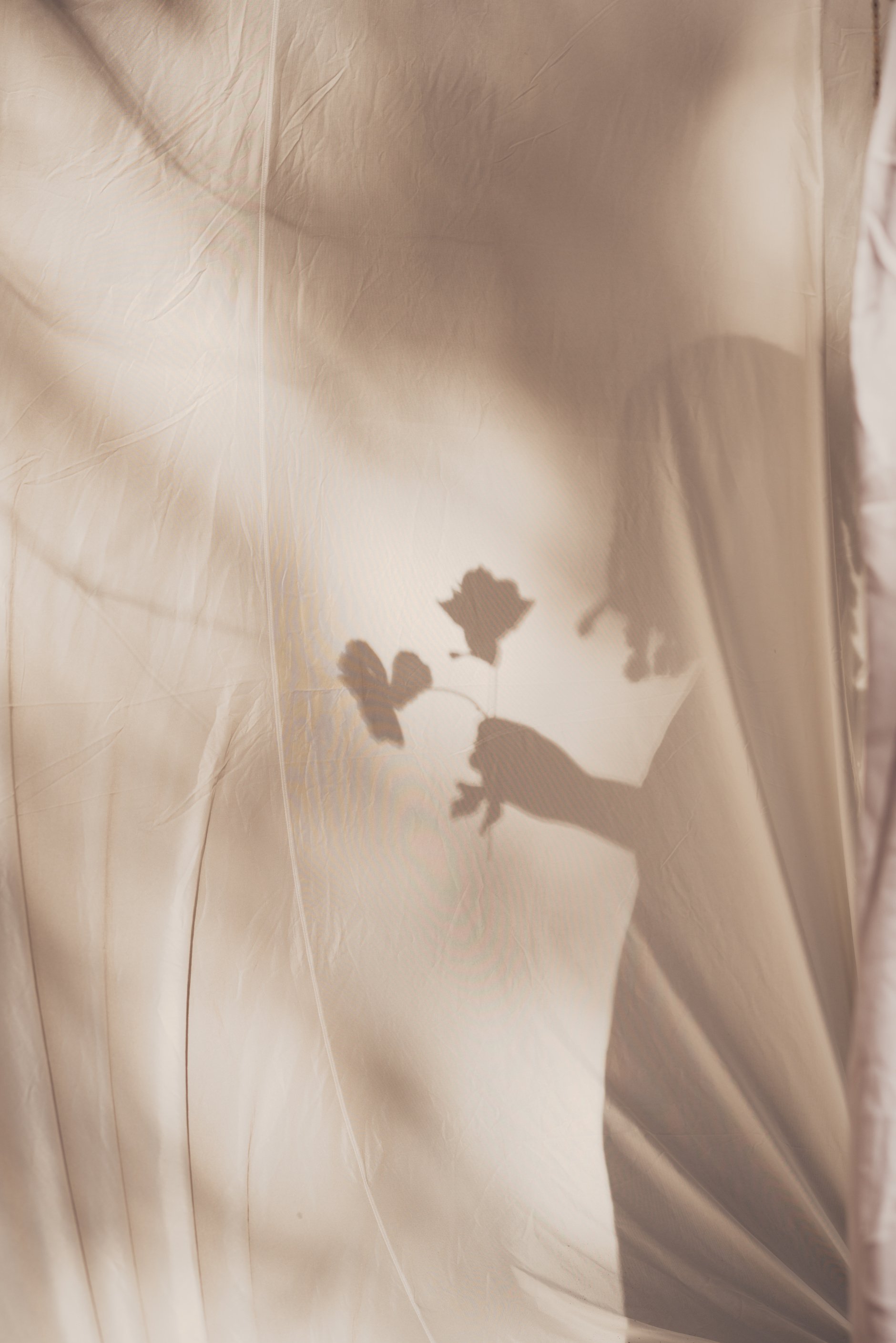 Shadow of Woman Holding Flower